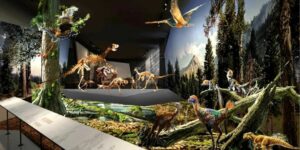 浙江自然博物馆、自然博物馆、云智展、云帆慧展